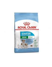 Сухой корм Royal Canin Mini Starter для щенков до 2-х месяцев и кормящих сук