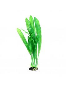 Растение Сагиттария зеленая