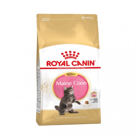 Сухой корм Royal Canin Maine Coon Kitten для котят породы Мейн Кун