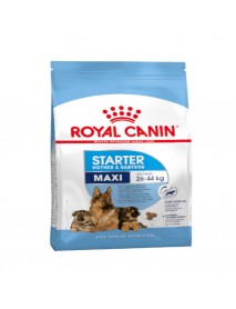 Сухой корм Royal Canin Maxi Starter для крупных щенков возрастом до 2 месяцев